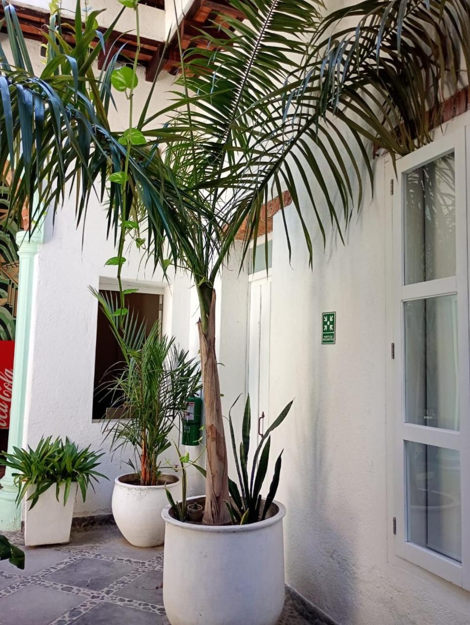 Casa Verde Hotel Санта Марта Екстериор снимка